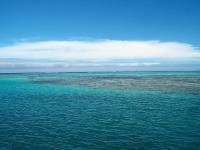 moorea room view 3 